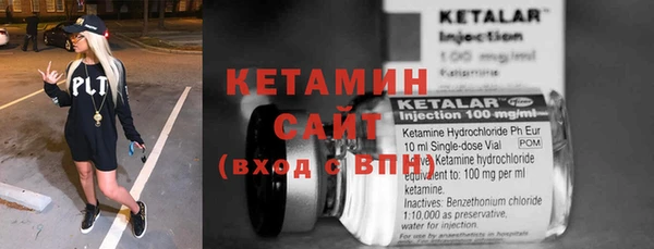 крисы Алексин