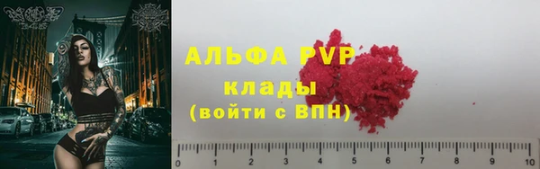 крисы Алексин