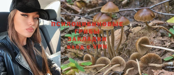 шишки Ельня