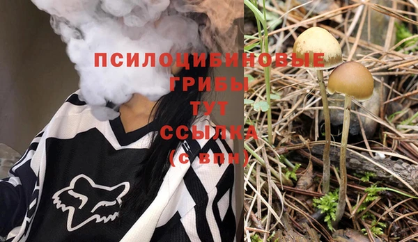 a pvp Каменка